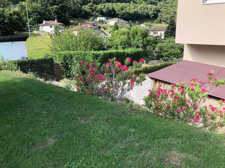Sinergia E Benessere SantʼAntonio Εξωτερικό φωτογραφία